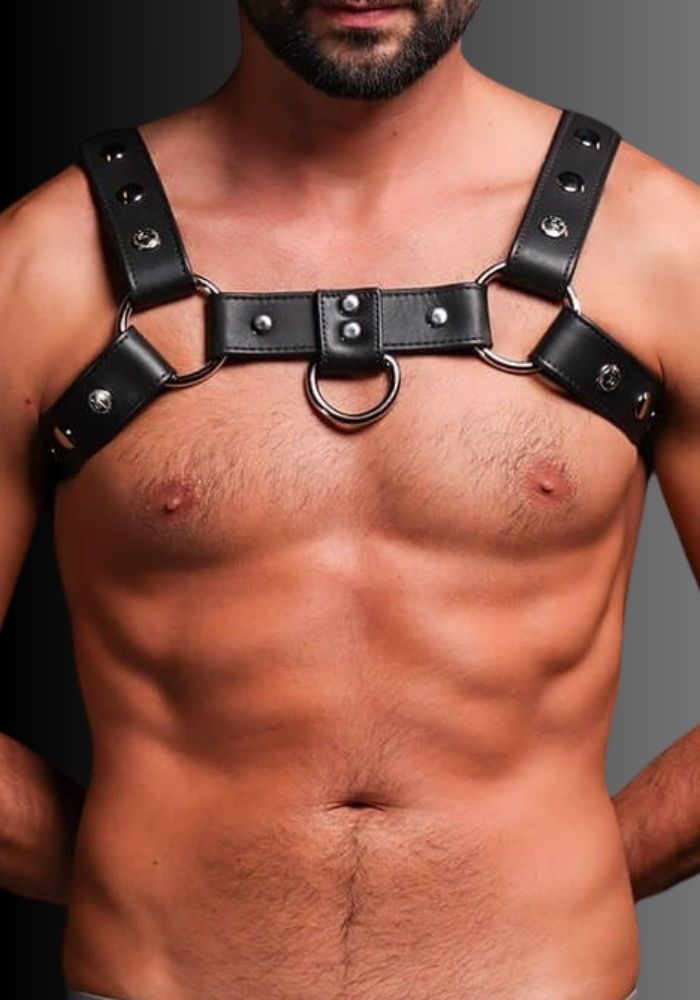 Bondage Harness Silver Snap, harness bondage, leather bondage harness, bondage body harness, bondage chest harness for sale