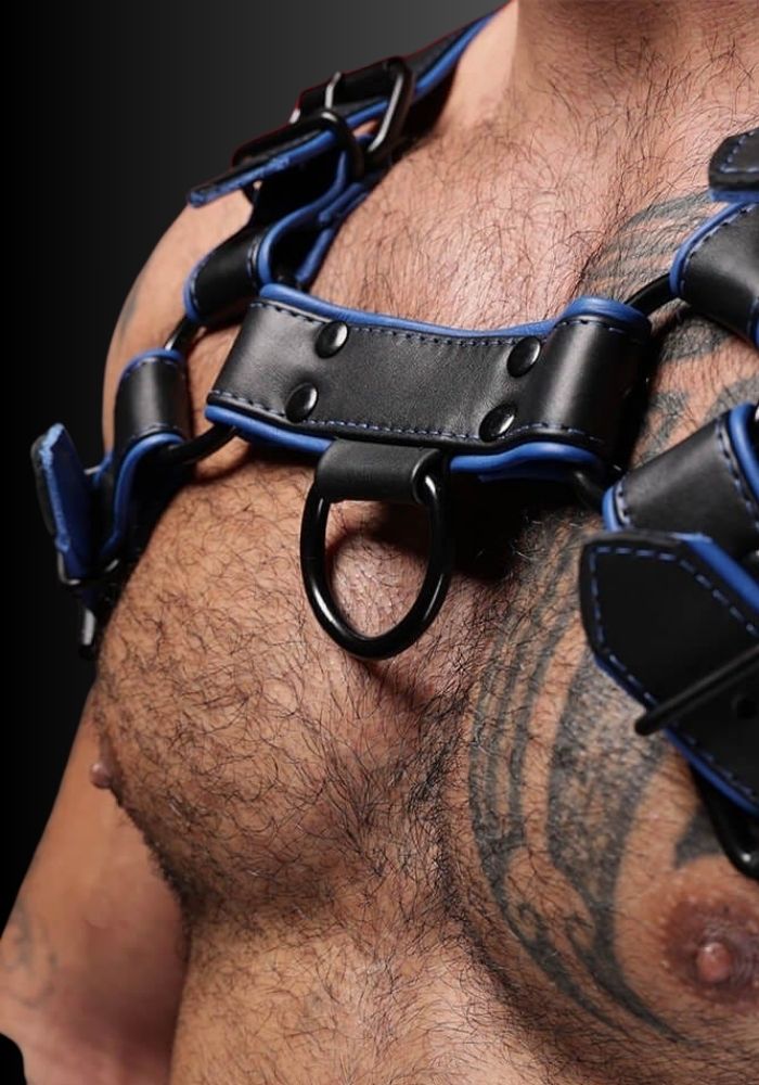 Leather Chest Harness Hardline Blue, leather harness, leather dog harness, leather harness men, leather chest harness for sale