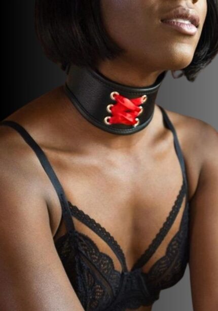 Red Laced BDSM Posture Collar, breathplay collar, bondage collars, gay collar, kinky collar for sale