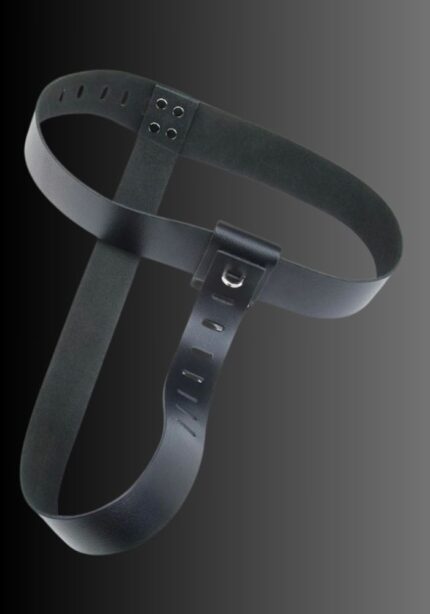 Strap In Chastity Harness, what is a, female chastity belt, chastity belts for women, chastity belt for women for sale