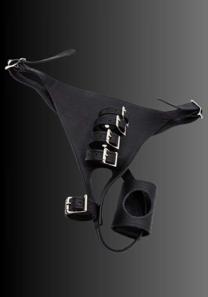 Locking Male Chastity Harness, male chastity bondage, male chastity bdsm, female chastity bdsm, chasity bdsm for sale